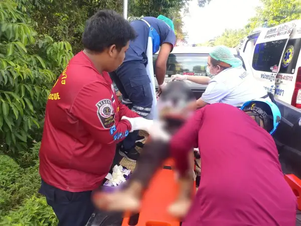 ภาพข่าว