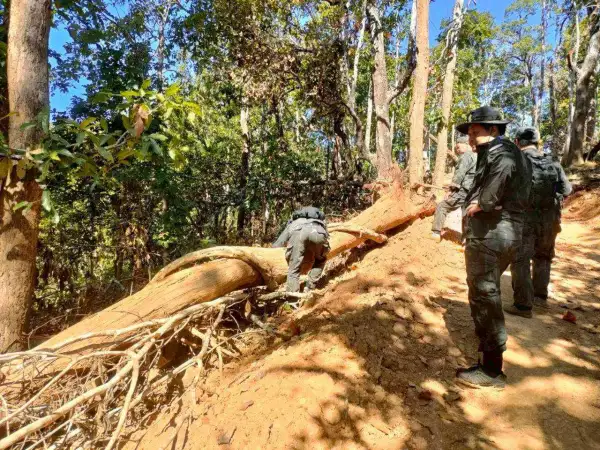 ภาพข่าว