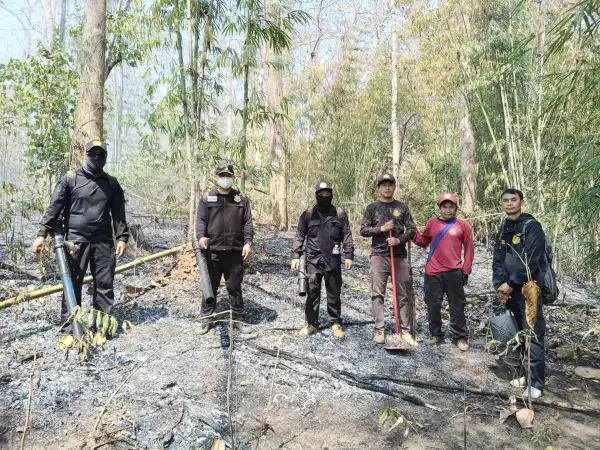 ภาพข่าว ดับไฟป่าแม่สะเรียง - TIGER NEWS REPORT