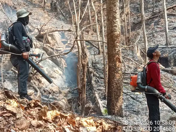 ภาพข่าว เร่งแก้ปัญหาไฟป่าหลังจุดความร้อนทะยาน 341 จุด - TIGER NEWS REPORT