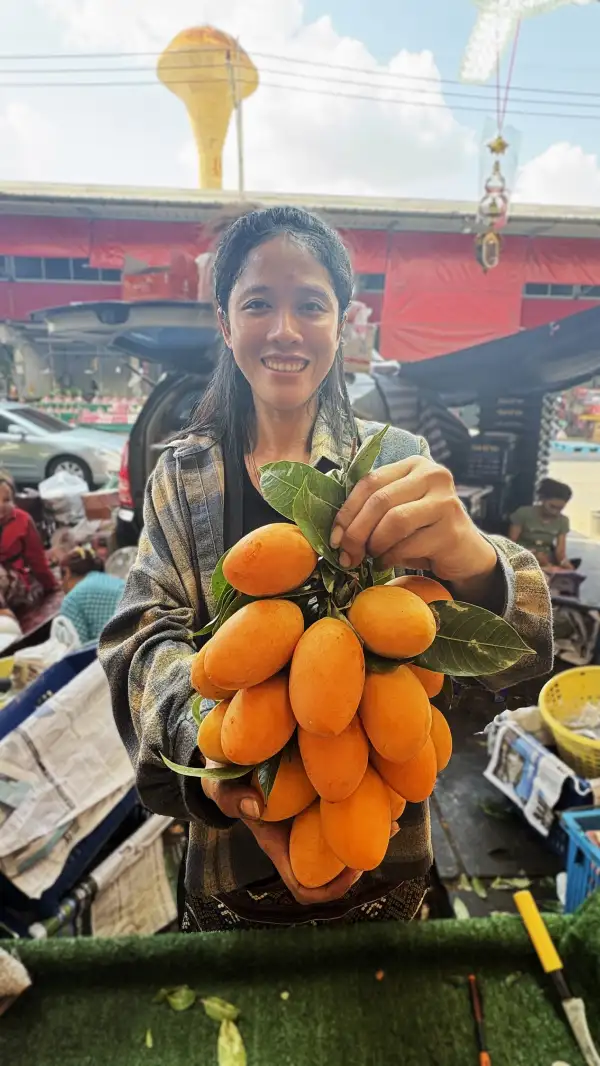 ภาพข่าว ปทุมธานีนาทีทองสายกินตลาดสี่มุมเมืองเปิดพิกัดผลไม้หน้าร้อน ยกขบวนมะยงชิดลูกโต มะขามเทศเนื้อฟู ส่งตรงจากสวน ราคาดีที่สุดในรอบปี - TIGER NEWS REPORT