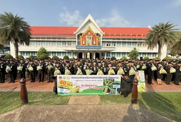 ภาพข่าว กองทัพภาคที่ 3 ช่วยเหลือเกษตรกรแจกจ่ายข้าวโพดหวานให้กำลังพล สนับสนุนผลผลิตทางการเกษตรในพื้นที่ - TIGER NEWS REPORT
