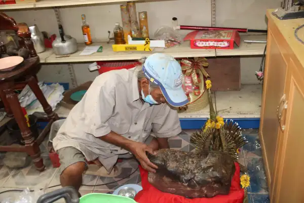 ภาพข่าว กาฬสินธุ์ฮือฮาเสี่ยใหญ่ค้าของชำเมืองน้ำดำบูชาหินประหลาดคล้ายกบเรืองแสงแห่ขอหวยให้โชค - TIGER NEWS REPORT