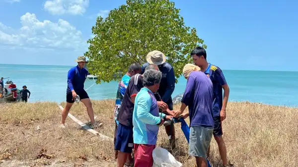 ภาพข่าว