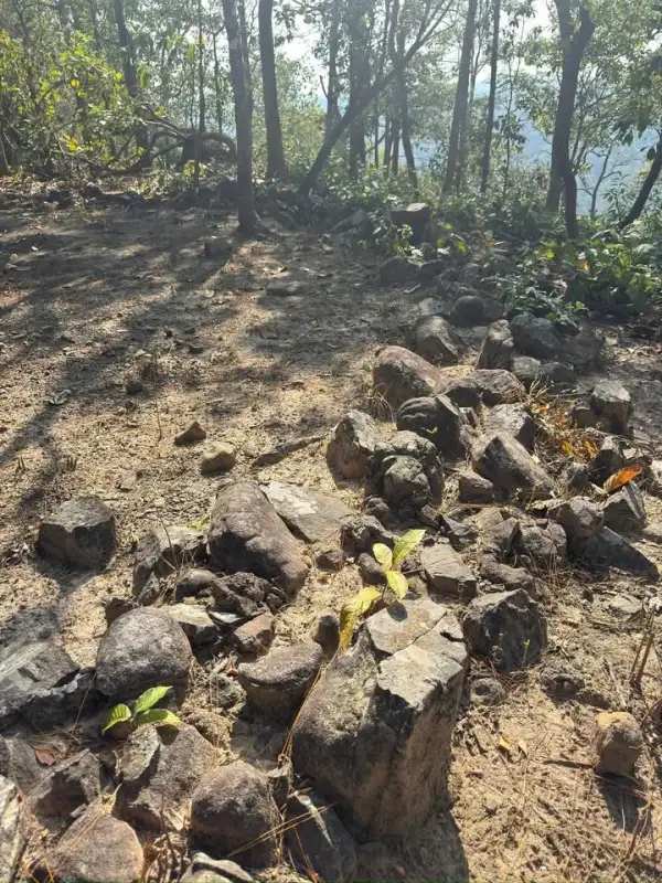 ภาพข่าว ค้นพบหินวงเป็นคาดร่องรอยอารยธรรมโบราณ - TIGER NEWS REPORT