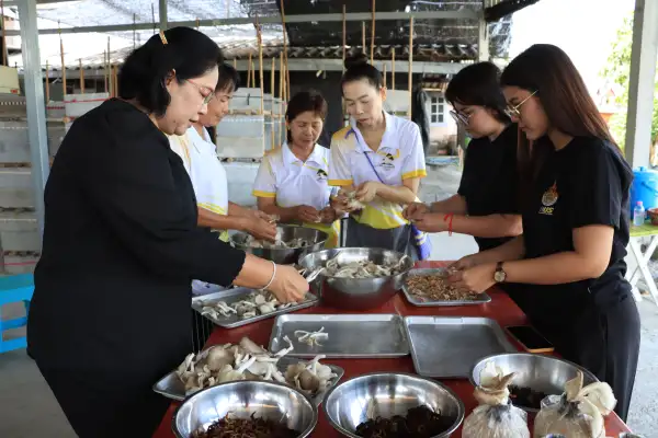 ภาพข่าว