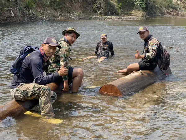ภาพข่าว จับลอบแปรรูปไม้สักทองกลางป่าน้ำของ - TIGER NEWS REPORT