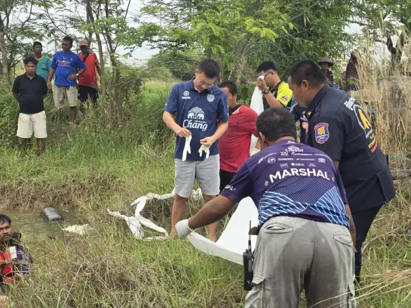 ภาพข่าว บุรีรัมย์ ไม่ทันได้จิ้ม ลุง 65 ออกไปเก็บสายบัวหวังกินกบน้ำพริดจมน้ำดับ - TIGER NEWS REPORT