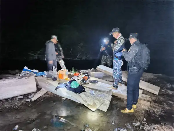 ภาพข่าว เขตรักษาพันธุ์สัตว์ป่าลุ่มน้ำปาย สบอ.16 ได้รับแจ้งเหตุมีการลักลอบแปรรูปไม้สักทองกลางป่าห้วยส้าน - TIGER NEWS REPORT