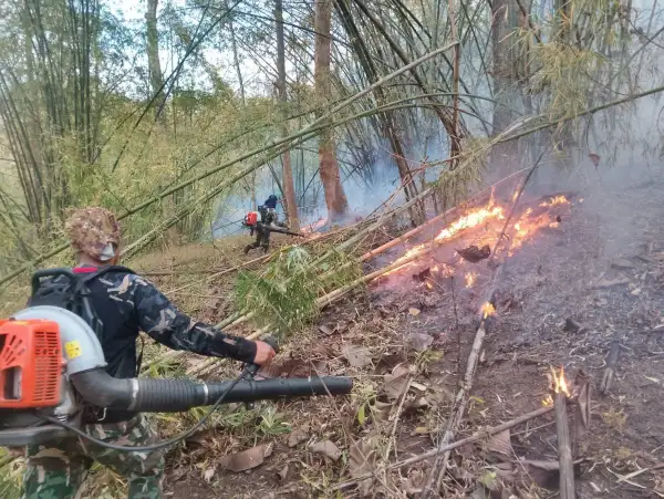 ภาพข่าว เร่งดับไฟป่าบ้านป่ากล้วย - TIGER NEWS REPORT