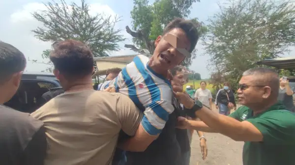 ภาพข่าว