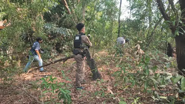 ภาพข่าว