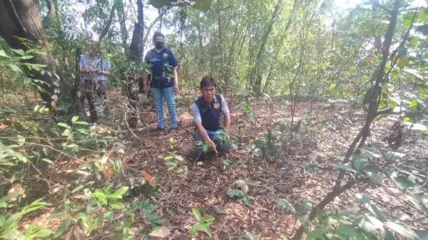 ภาพข่าว ปทุมธานี คนซื้อที่ดินผงะเจอโครงกระดูกคนขณะเดินดูที่ดิน - TIGER NEWS REPORT