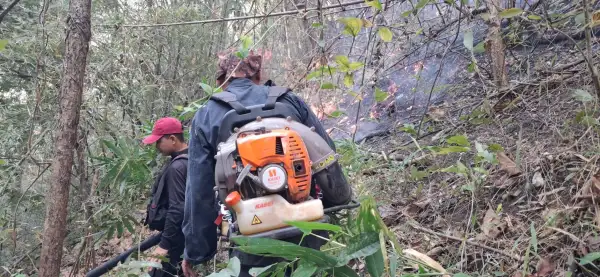 ภาพข่าว