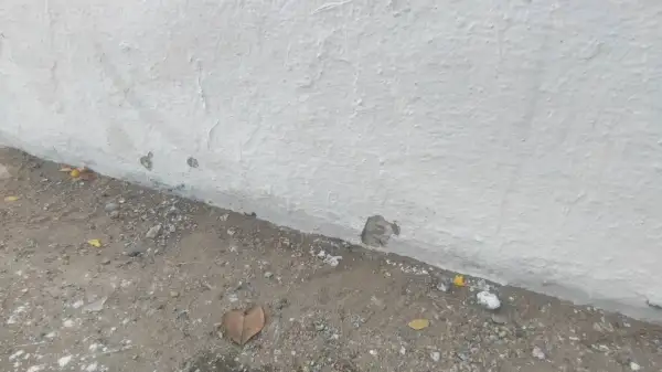 ภาพข่าว ปทุมธานีเปิดวงจรปิดนาทีโจ๋เจ้าถิ่นไล่ยิงกันเด็กดุสิตที่แท้บุกเคลียร์เรื่องแฟนสาวรุ่นพี่ถูกทำร้าย - TIGER NEWS REPORT