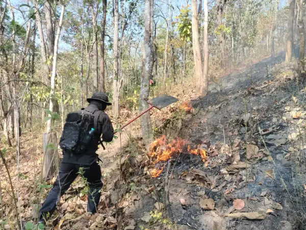 ภาพข่าว สั่งเร่งควบคุมไฟป่าให้ได้ใน48ชั่วโมงหลังค่าฝุ่นพิษพุ่งพรวด - TIGER NEWS REPORT