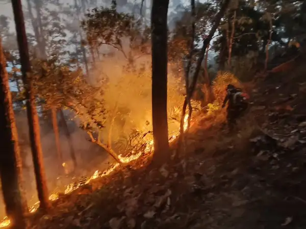 ภาพข่าว ไฟป่ายังคงเกิดต่อเนื่อง - TIGER NEWS REPORT