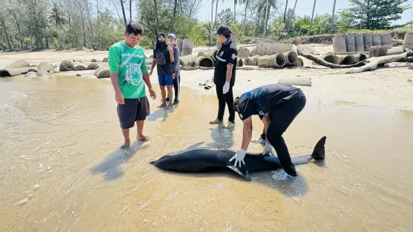 ภาพข่าว