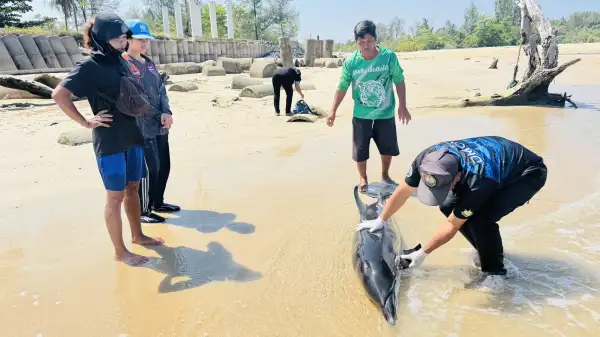 ภาพข่าว