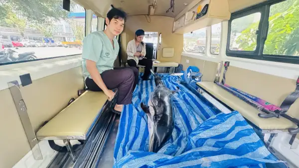 ภาพข่าว