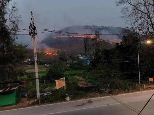 ภาพข่าว ไฟป่าหลังศาลากลางจังหวัด - TIGER NEWS REPORT