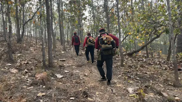 ภาพข่าว ไฟป่าอ่วมเพิ่ม600กว่าจุด - TIGER NEWS REPORT