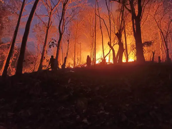 ภาพข่าว พื้นที่ซับซ้อนยากต่อการควบคุมไฟป่า - TIGER NEWS REPORT