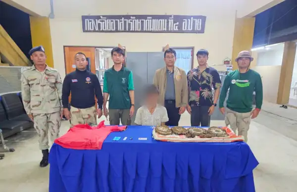 ภาพข่าว ปายจับลอบเผาป่า - TIGER NEWS REPORT