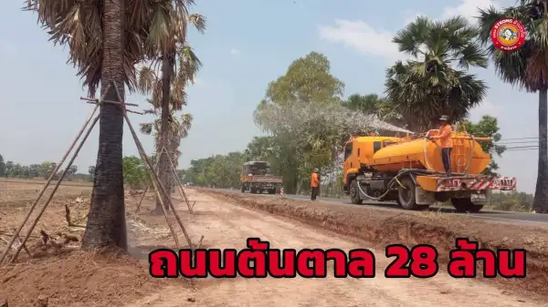 ภาพข่าว “ศรีสะเกษ” ส่อเค้าวุ่น! ชมรม STRONG ต้านทุจริตภาคอีสาน โพสต์แฉ ถนนต้นตาล 28 ล้าน พบเอกชนลงมือก่อสร้าง-ตัดต้นตาลดาบวิชัย ก่อนทำสัญญาจ้าง วอนหน่วยงานที่เกี่ยวข้องตรวจสอบ - TIGER NEWS REPORT