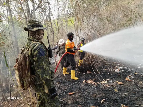 ภาพข่าว