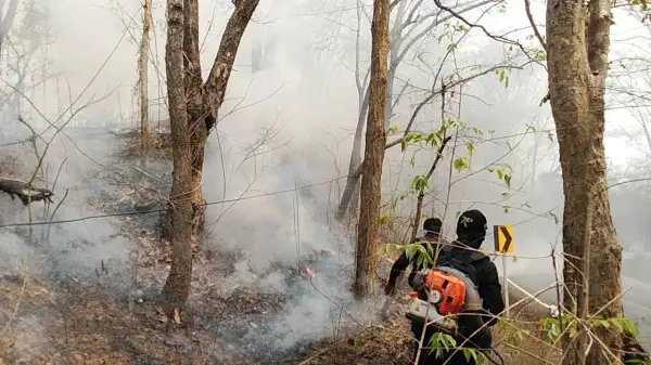 ภาพข่าว