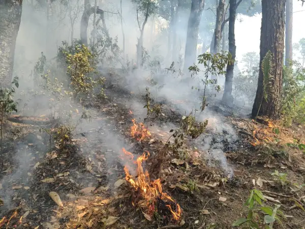 ภาพข่าว อช.สาละวิน สู้ไม่ถอย จัดกำลังเข้าพื้นที่พักนอนกลางป่าพร้อมเสบียงดับไฟ 3 จุดวิกฤต หลัง ความร้อนพุ่งสูง  121 จุด ซึ่งสูงสุดในบรรดาพื้นที่ป่าอนุรักษ์ทั่วประเทศในขณะนี้ - TIGER NEWS REPORT