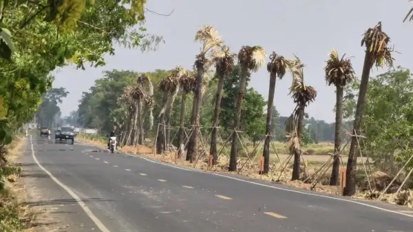 ภาพข่าว