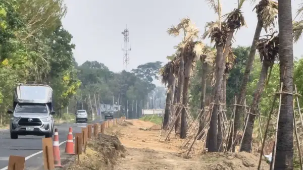 ภาพข่าว “ศรีสะเกษ” เปิดภาพ “ต้นตาลดาบวิชัย” ทยอยตายทีละต้น นักอนุรักษ์เห็นแล้วน้ำตาซึม ขณะที่ ปธ.คปศ. เผย เห็นด้วยกับการพัฒนาสร้างถนน แต่ไม่เห็นด้วยกับการตัดต้นตาลหรือบอนไปปลูกใหม่ เชื่อไม่รอด - TIGER NEWS REPORT