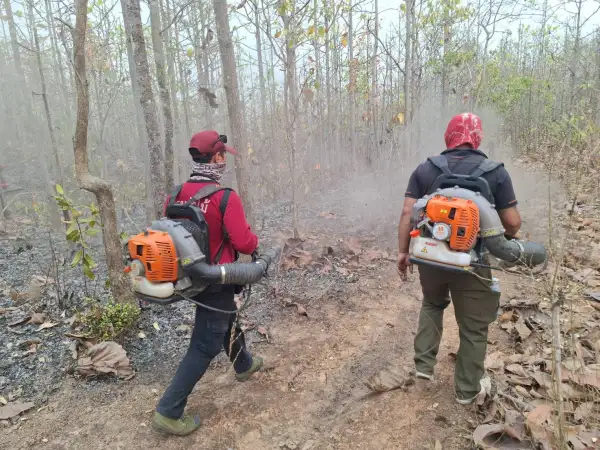 ภาพข่าว