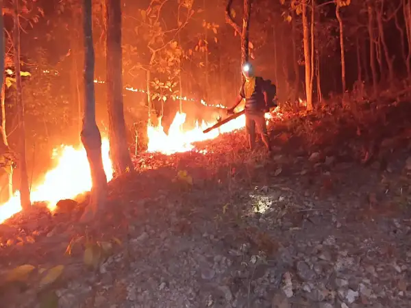 ภาพข่าว ไฟป่าหนักต่อเนื่องไม่แผ่ว - TIGER NEWS REPORT