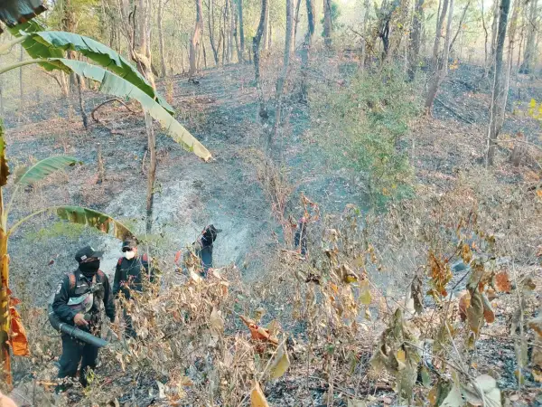 ภาพข่าว