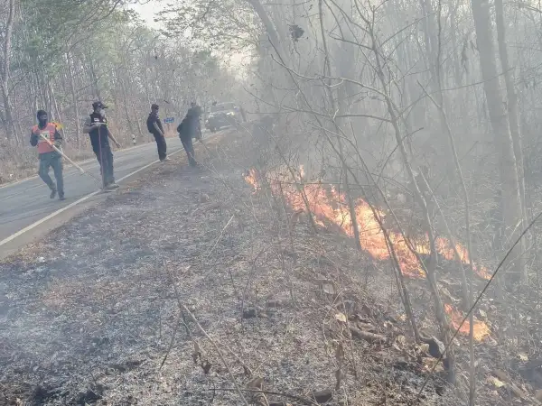 ภาพข่าว