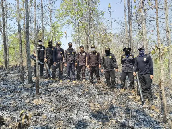 ภาพข่าว ยอดจุดไฟป่าทะลักเกือบพันจุด - TIGER NEWS REPORT