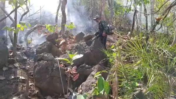 ภาพข่าว