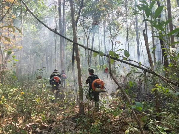 ภาพข่าว