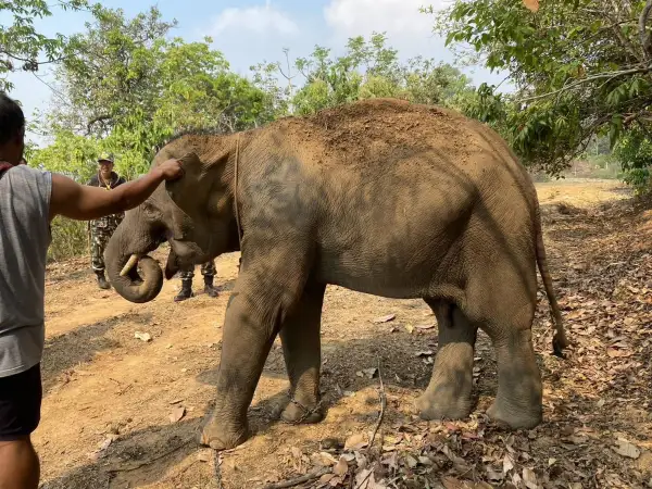 ภาพข่าว