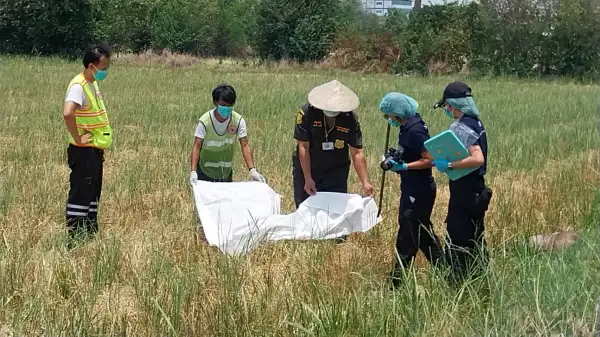 ภาพข่าว ปทุมธานีสลดพบศพหญิงชราดับกลางทุ่งนาคาดมาช่วยดับไฟจนเป็นลมไม่มีใครเห็น - TIGER NEWS REPORT