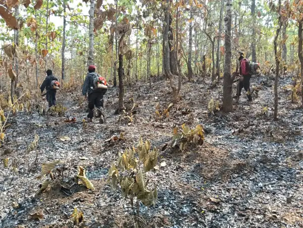 ภาพข่าว