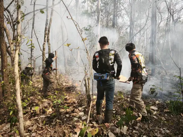 ภาพข่าว