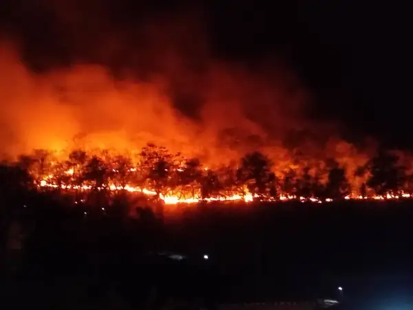 ภาพข่าว ไฟป่านากระจงลามเข้าบ้านไม้แงะ - TIGER NEWS REPORT