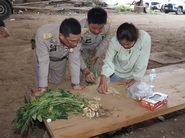 ภาพข่าว