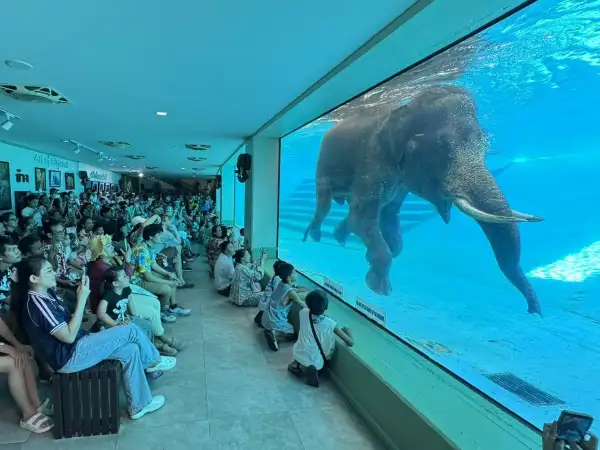 ภาพข่าว