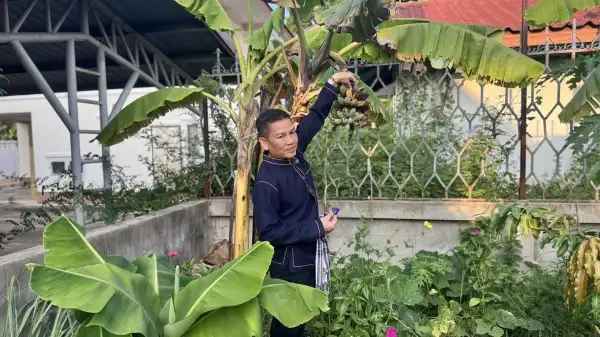 ภาพข่าว