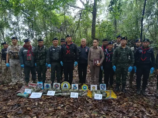 ภาพข่าว ทหารพรานยึดยานรกฝิ่นดิบ57.6กิโลกรัมราคาร่วม2ล้านบาท - TIGER NEWS REPORT